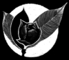 576ejhter4 wb054172