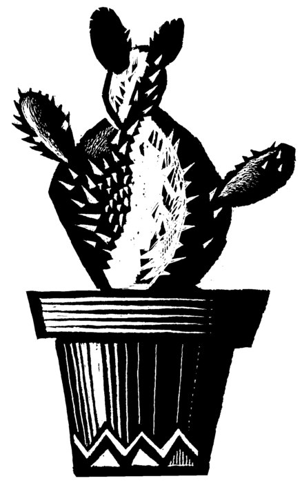 Potted Cactus Plant