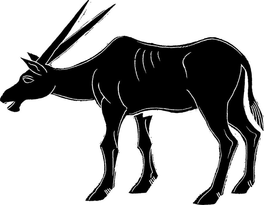 Oryx Antelope