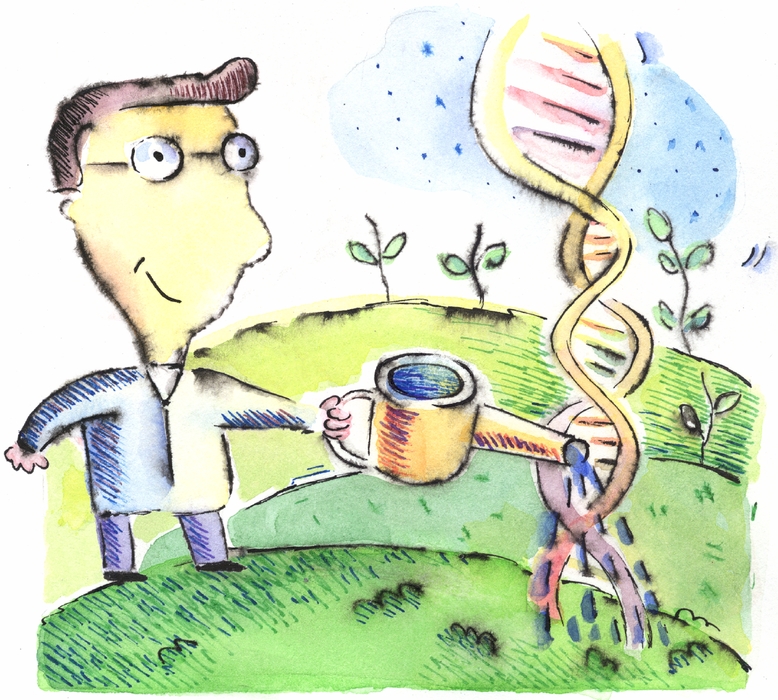The Study of Geneticly Modified Organisms (GMOs)