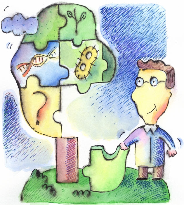 Putting Together The Pieces Of A Puzzle