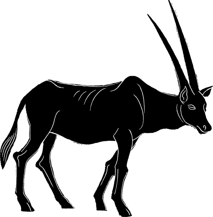 Oryx Antelope