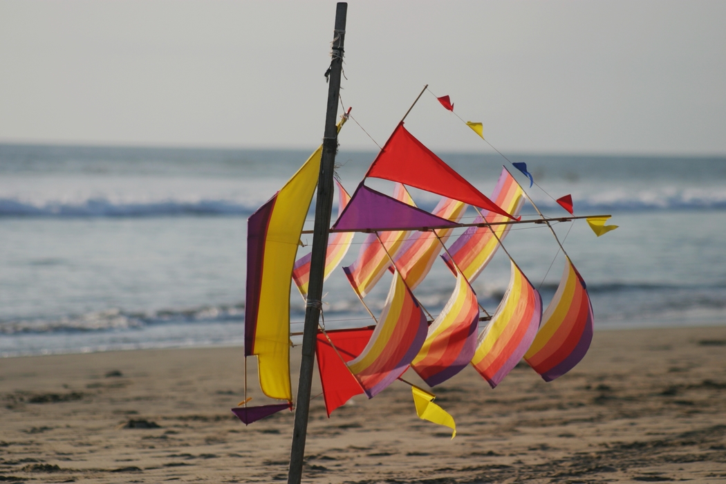 Kite Flutters in the Breeze on The Beach