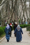 8ywmqjyydl wb044881