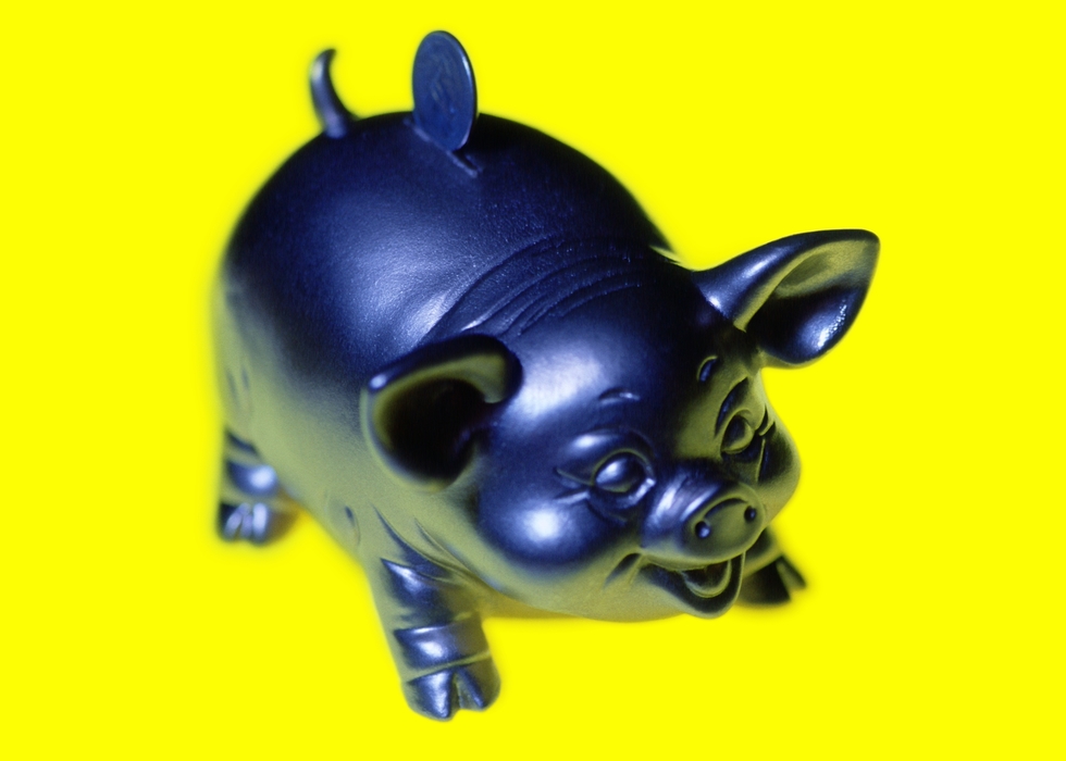Piggy Bank with Coin Deposit