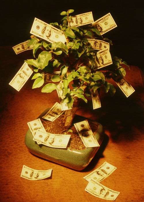 Money Tree, Some Bills (Like Leaves) Fallen At The Base
