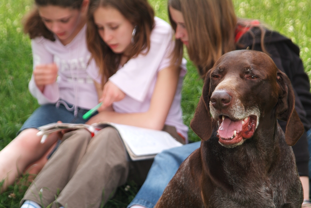 Girls Reading in the Park with Their Dog