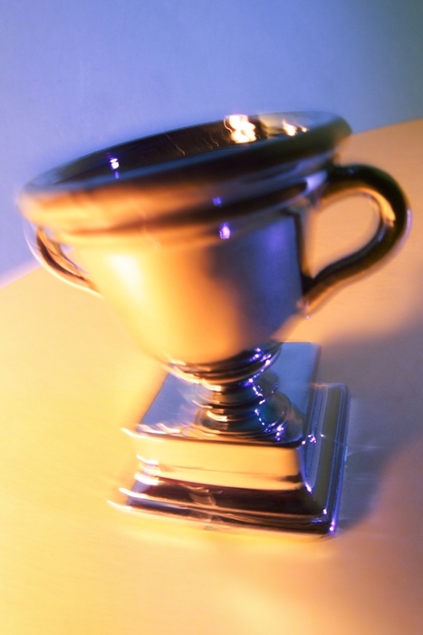 Winner's Trophy