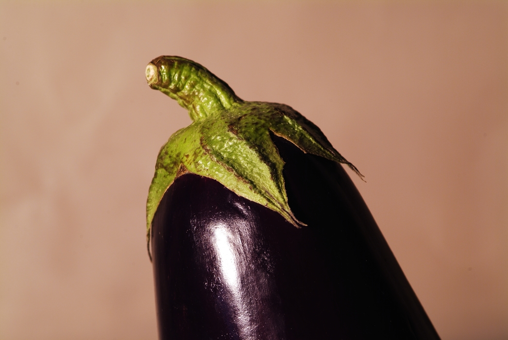 Eggplant with Stem
