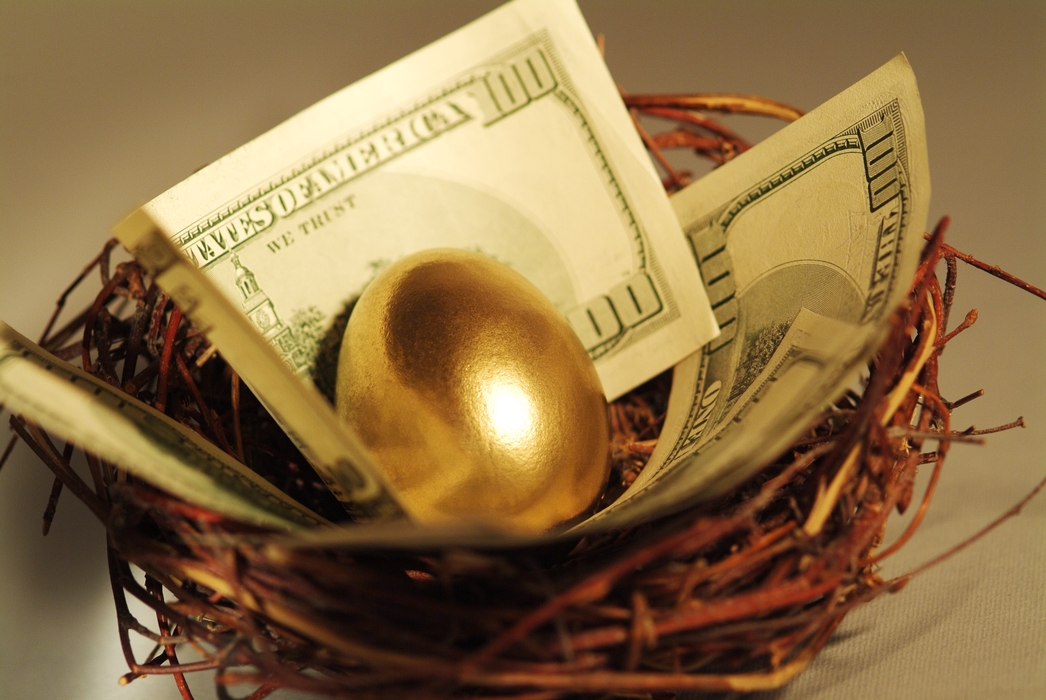 Nest Egg with Dollars