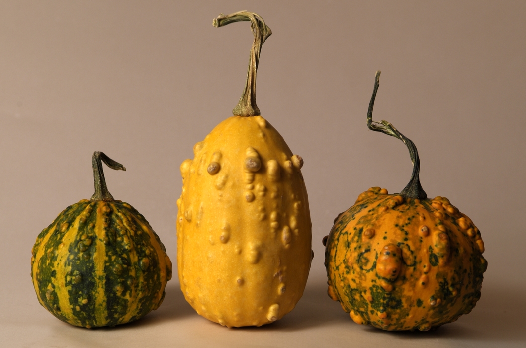 Three Squash