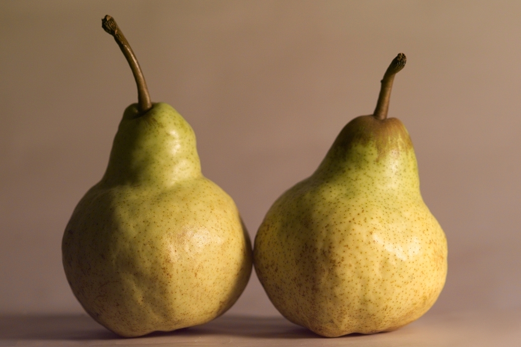 Ripe Pears