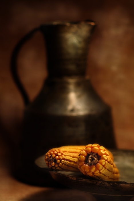 Indian Corn and Water Jug