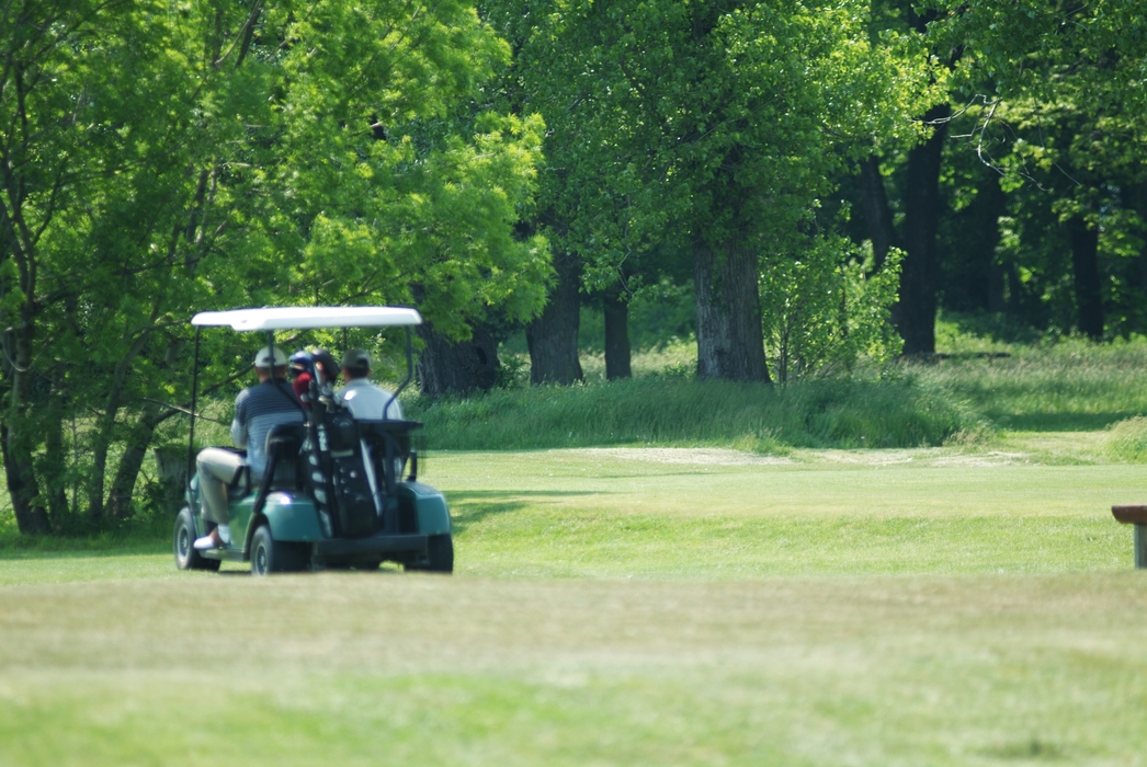 Golfers in a Power Cart