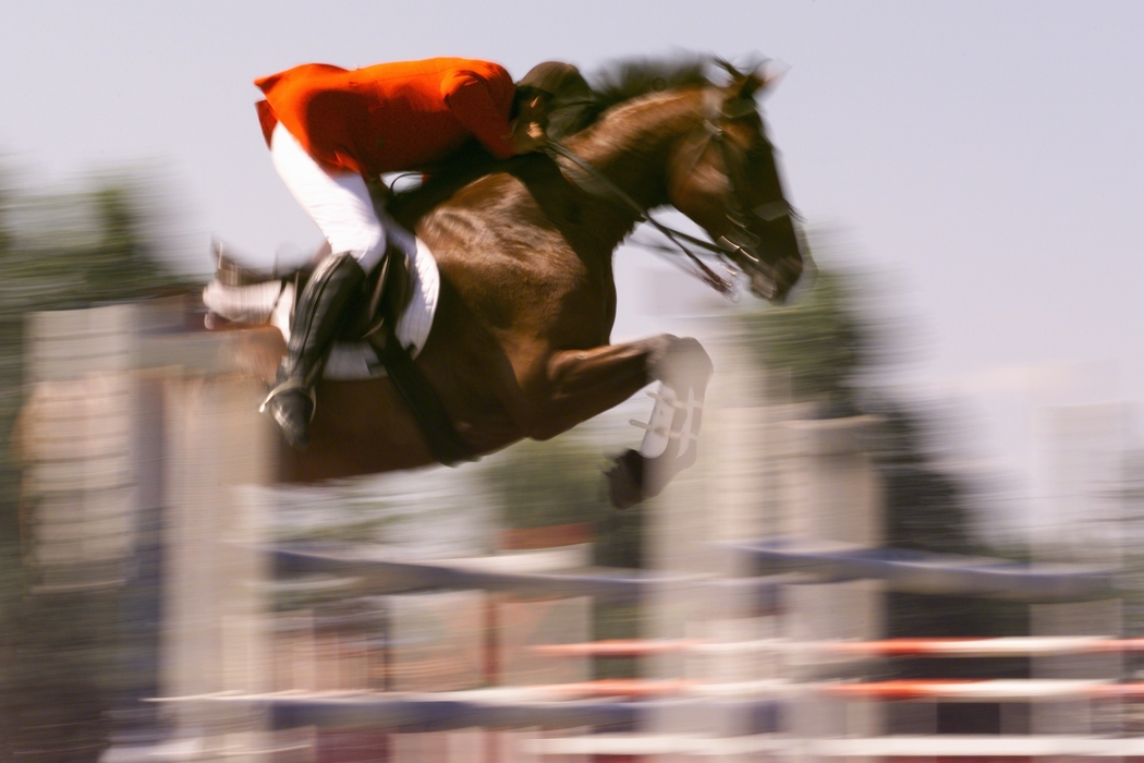 Equestrian - Horse Jumps a Fence