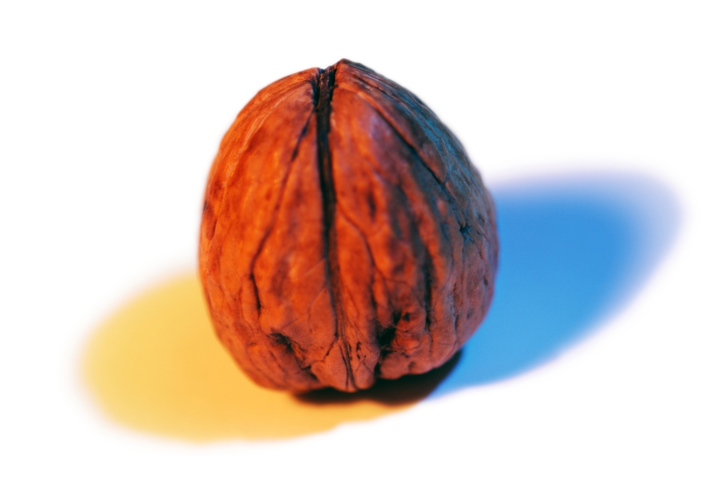 Walnut