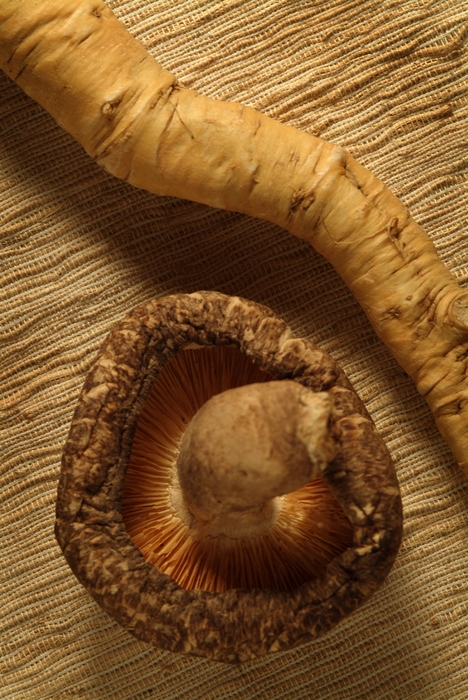 Shiitake Mushroom and Ginger Root