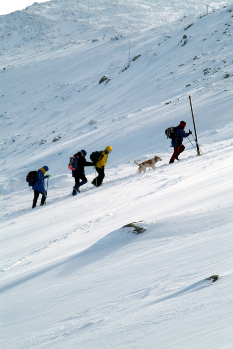 Hikers Climb Through Snow on Steep Mountain Terrain
