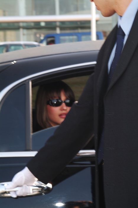 Businesswoman Getting Out of a Limousine