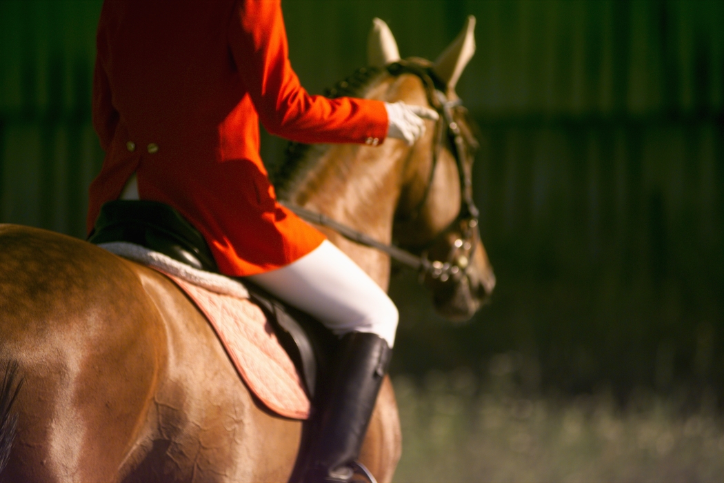 Equestrian - Horse Jumping