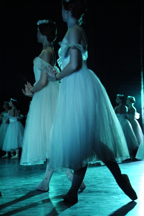 An Evening at the Ballet: Ballerinas Dance