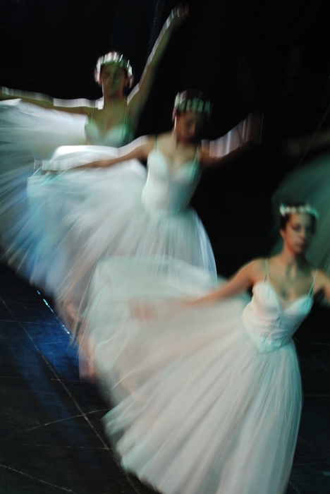 An Evening at the Ballet: Ballerinas Dance