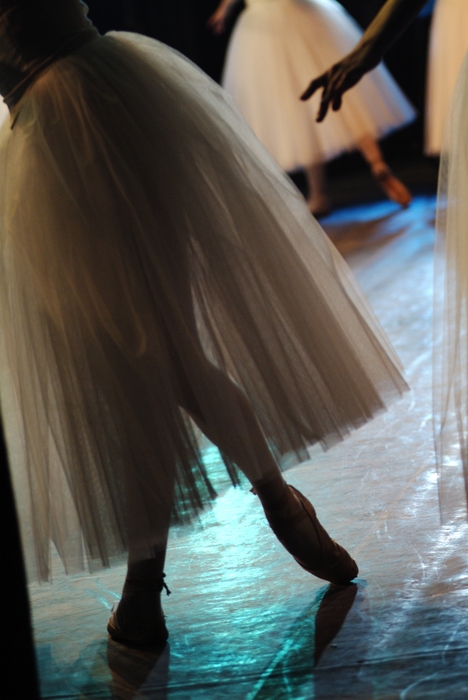 An Evening at the Ballet: Ballerina Performs