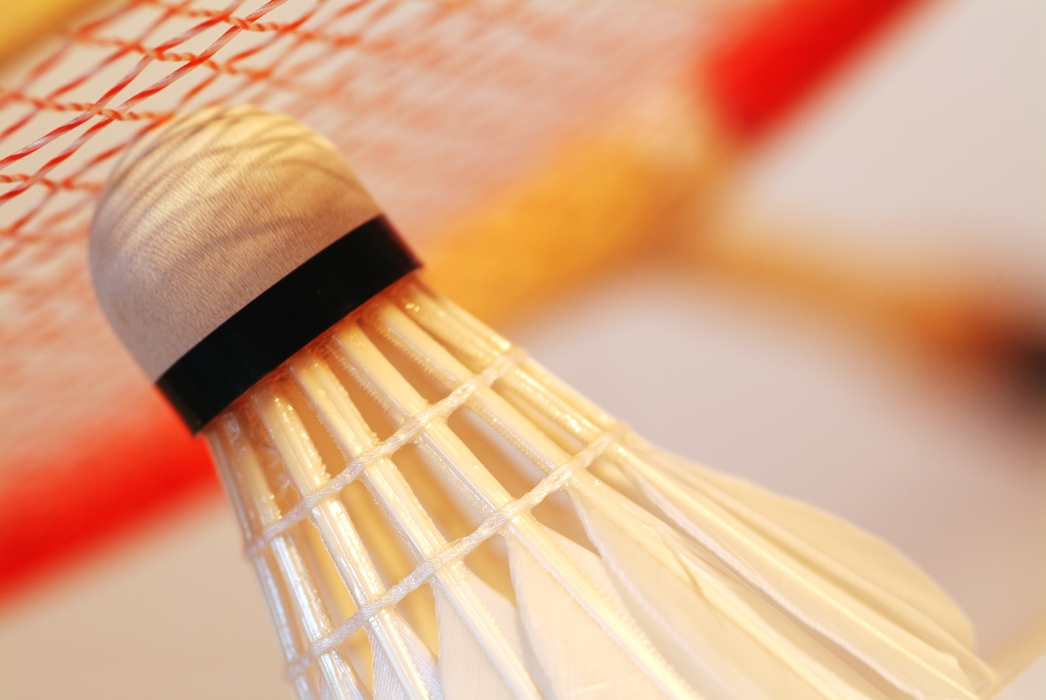 The Game of Badminton: Racket and Birdie