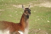 57ovo7y42t wb042708