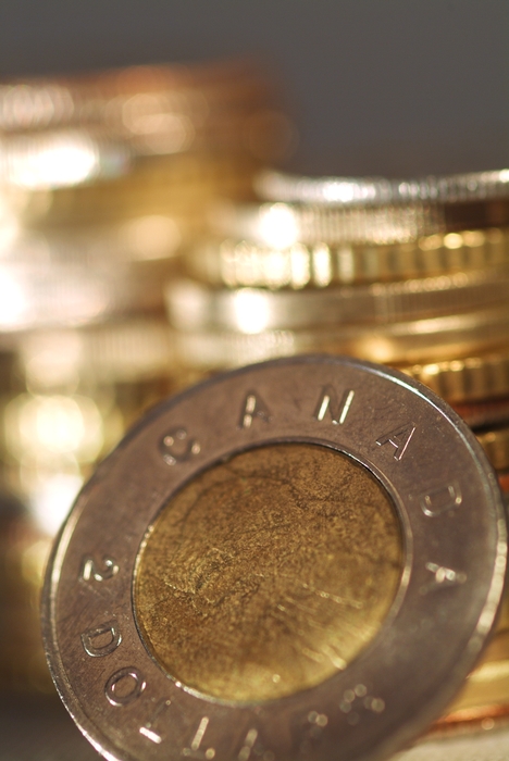 Dollar Coins Canadian Loonie