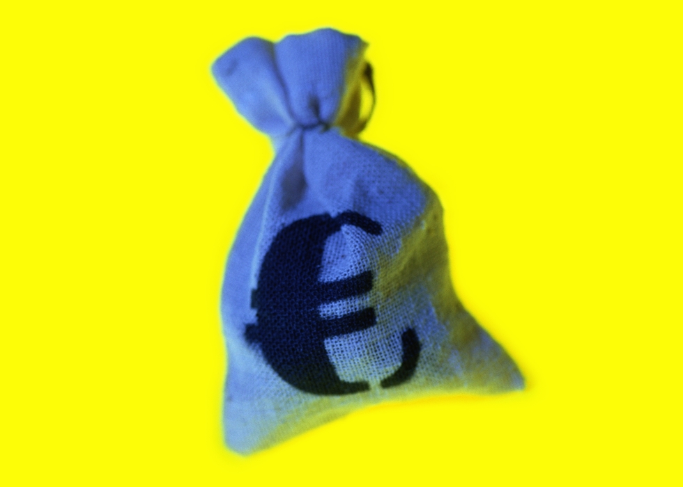 Money Bag - Euro