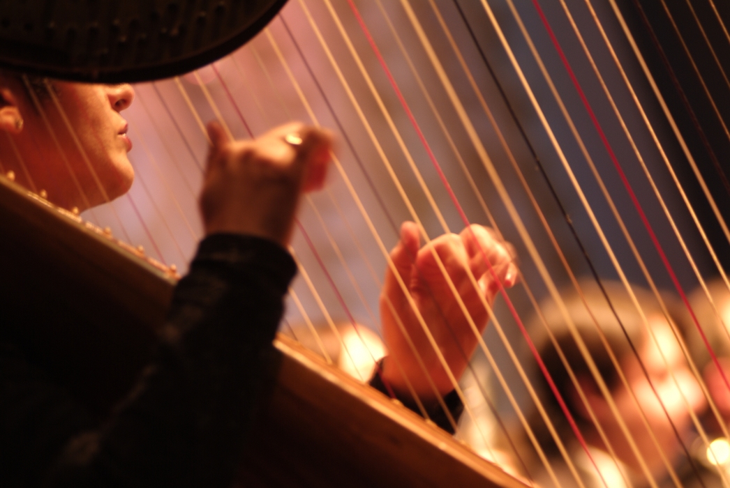 Orchestral Harpist Plays the Harp