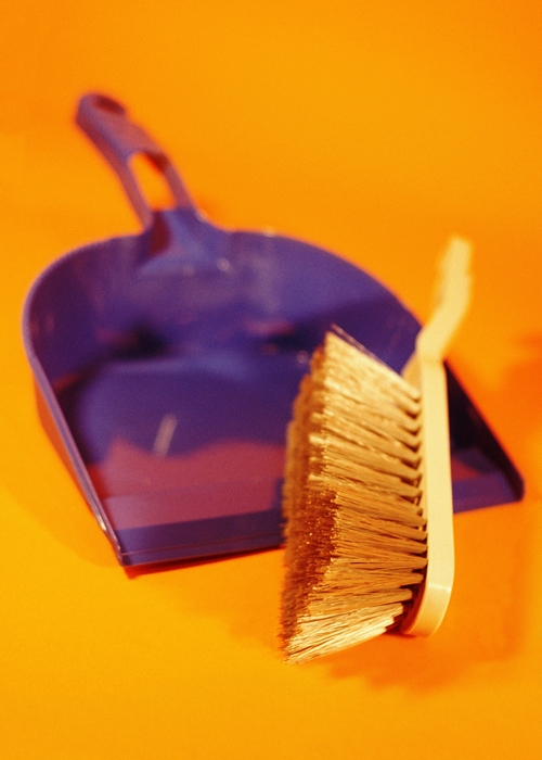 Small Brush and Dustpan