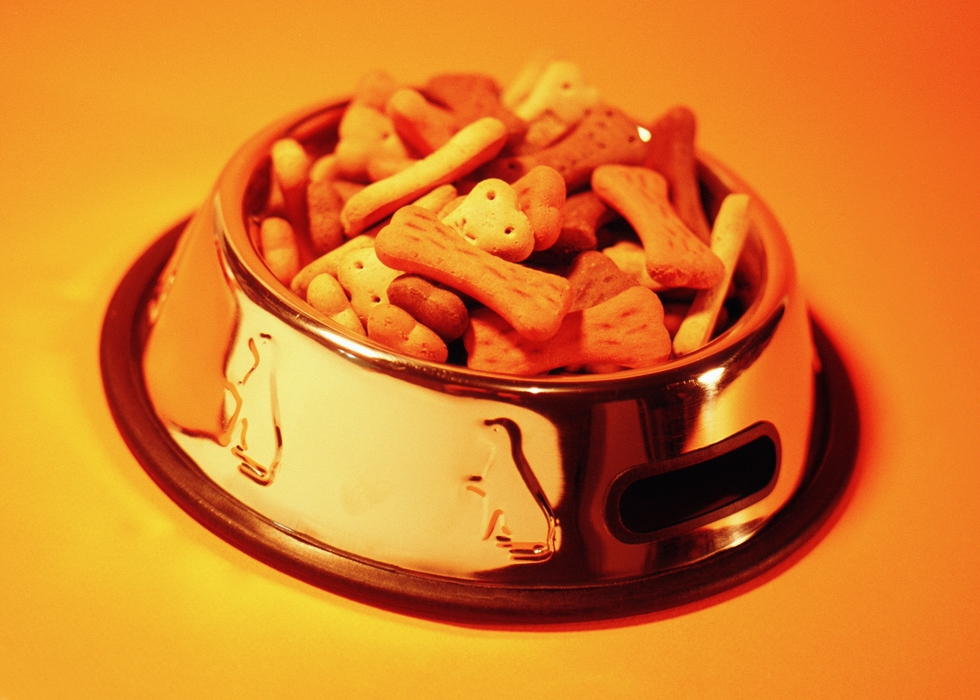 Bowl of Dog Biscuits