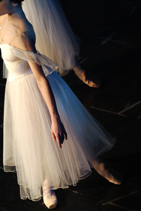An Evening at the Ballet: Ballerinas Dance
