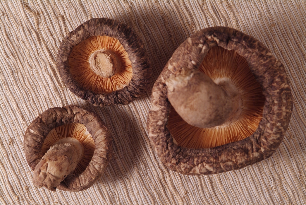 Shiitake Mushrooms