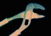 5sl6bv8vzi wb027830