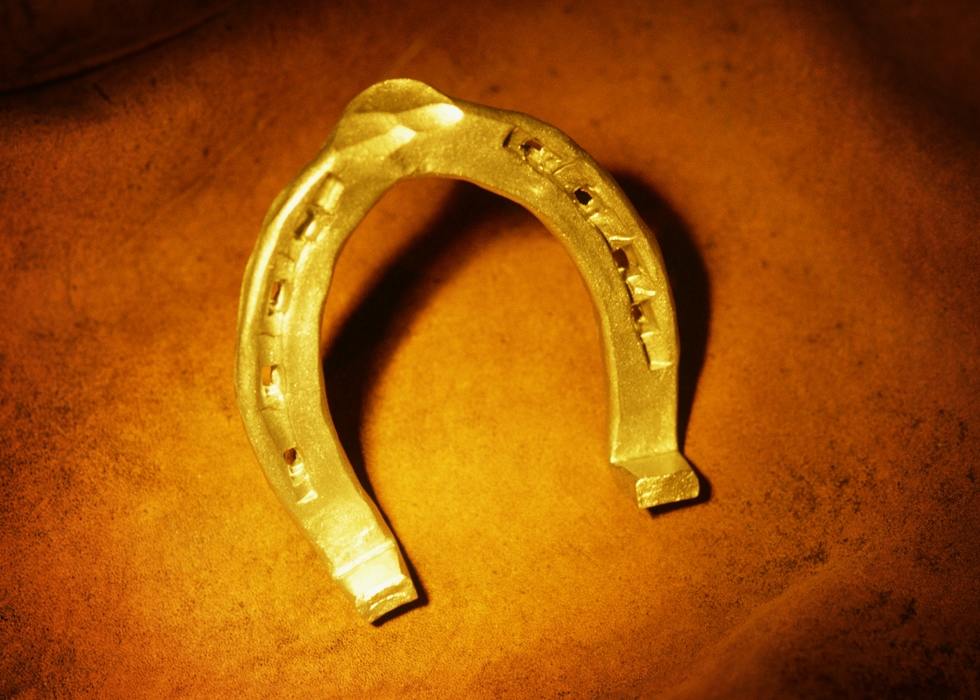 Horseshoe (Standing Up For Luck)