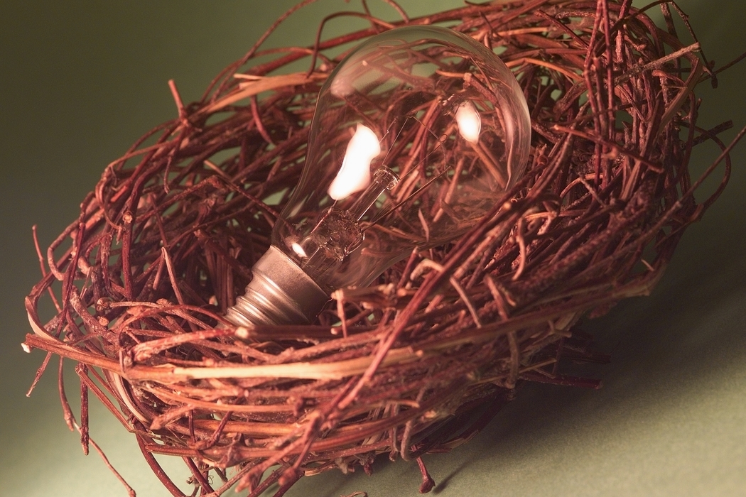 Nest with Idea Light Bulb