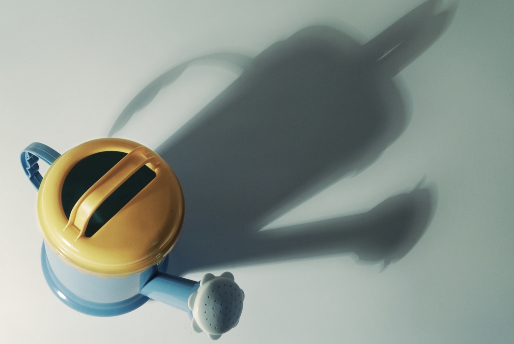 Garden Watering Can with Dramatic Shadow