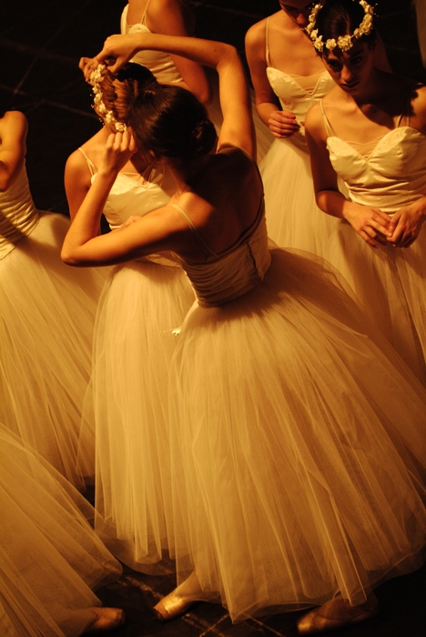 An Evening at the Ballet: Ballerinas Dance