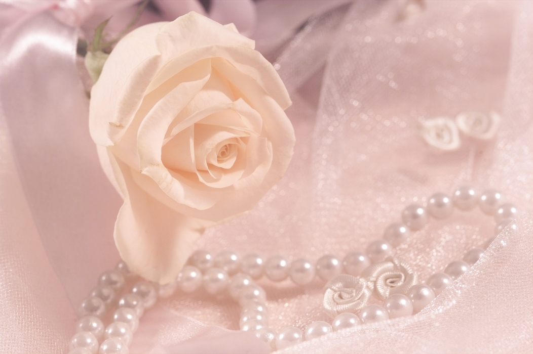 The Wedding Day: Pearl Necklace and White Rose