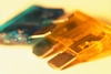 1t9tj30fpc wb026018