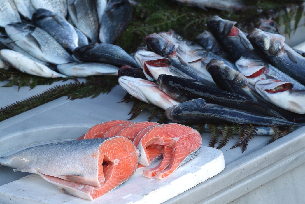 Today's Catch at Fish Market