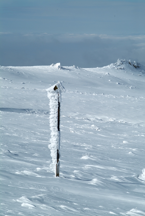 Frozen Winter Landscape Scene