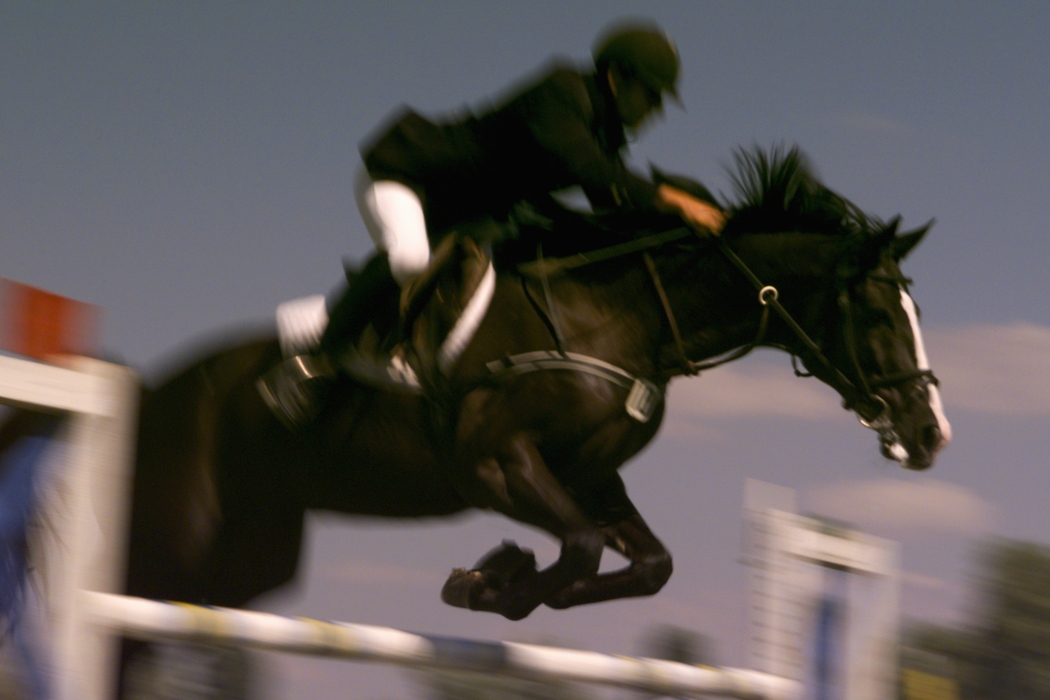 Equestrian - Black Horse Jumps a Fence