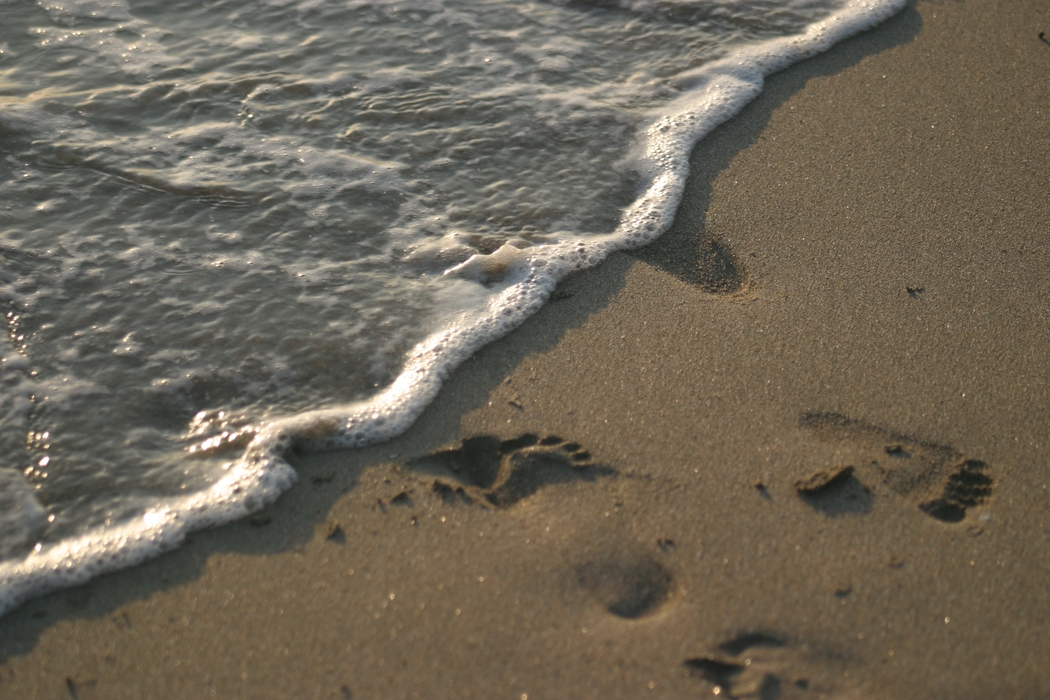 Foot Prints An The Beach