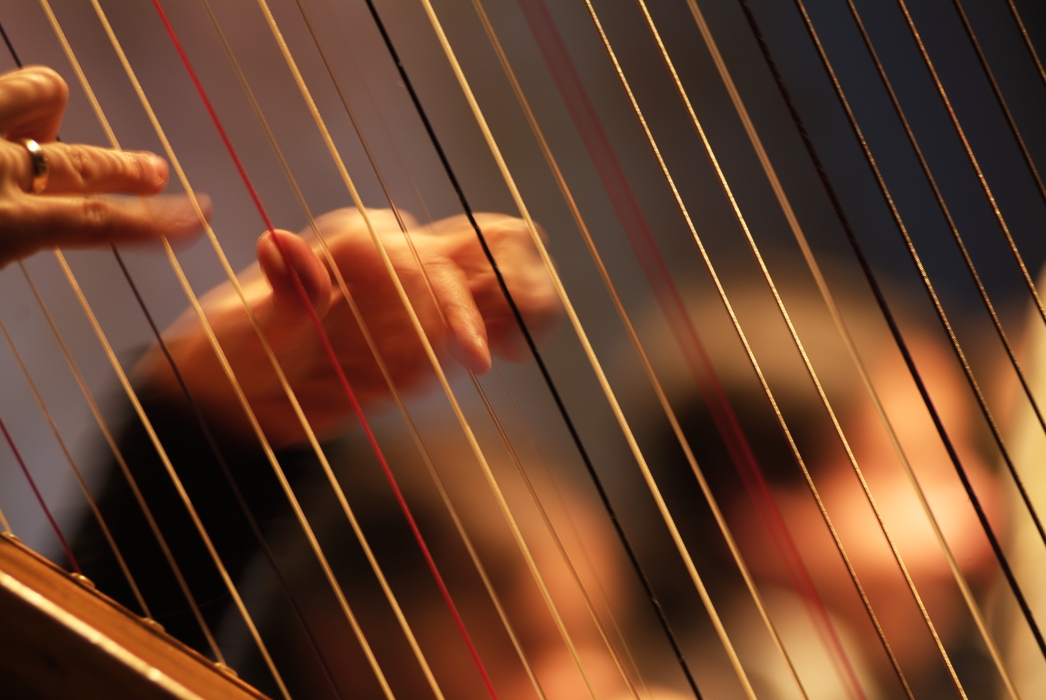 Orchestral Harpist Fingers Play