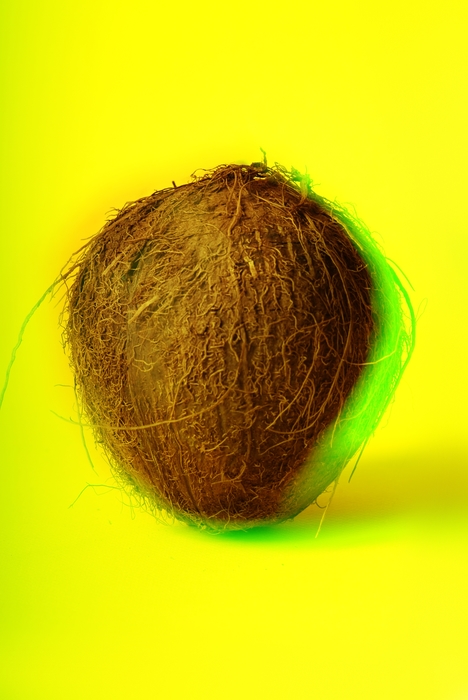 Coconut