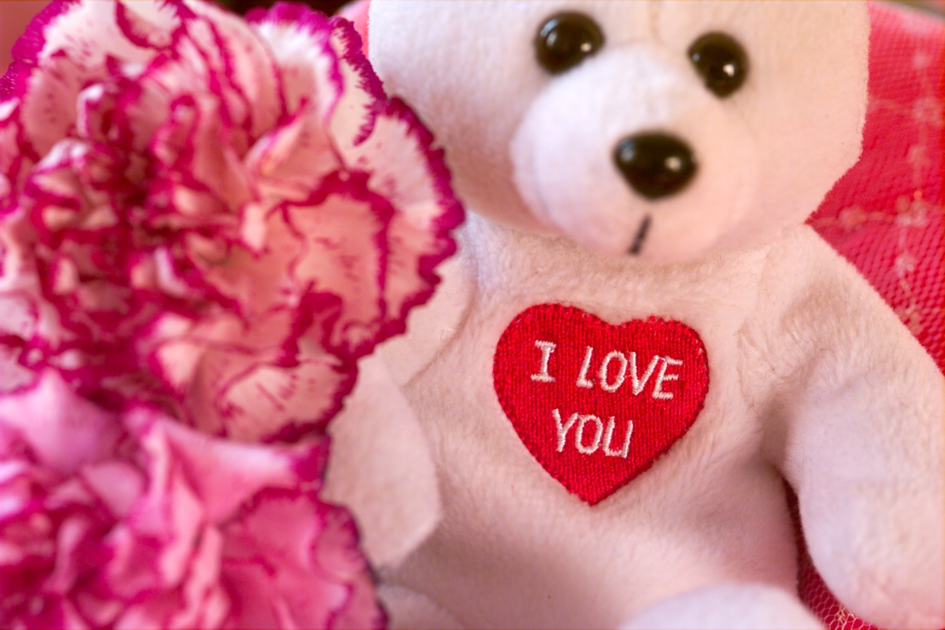 Valentines Day  I Love You Teddy Bear with Carnations